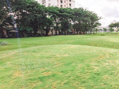 Tiện ích chung cư Mỹ Viên, Quận 7 Căn hộ Penthouse chung cư Mỹ Viên view nội khu yên tĩnh.