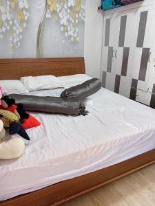 Căn hộ Era Town, quận 7 Căn hộ Era Townn nội thất đầy đủ và sang trọng