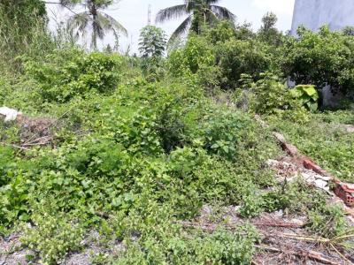 Bán đất nền mặt đường Lò Lu, diện tích đất 111m2 (5mx16m).