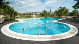 Camellia Garden - camellia-garden-2.jpg