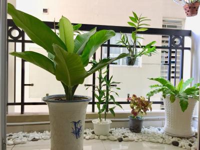 View chung cư Phúc Yên, Tân Bình Căn hộ chung cư Phúc Yên hướng Đông Bắc, nội thất đầy đủ.