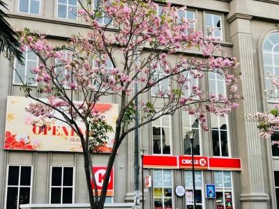 tiện ích căn hộ sài gòn mia Căn hộ 3 phòng ngủ Saigon Mia nội thất cơ bản