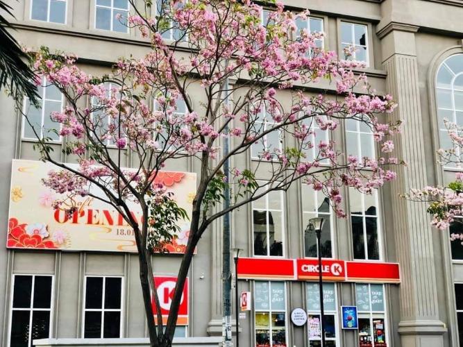 tiện ích căn hộ sài gòn mia Căn hộ 3 phòng ngủ Saigon Mia nội thất cơ bản