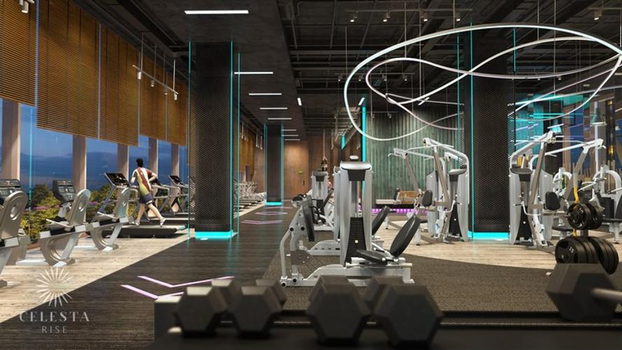 Celesta Rise - du-an-celesta-rise