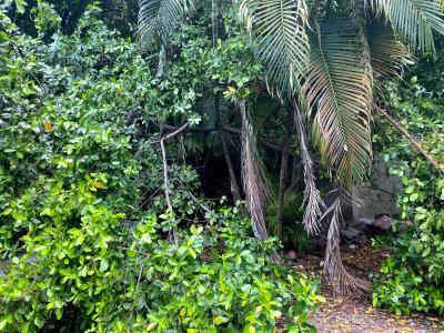 đất nền Huỳnh Tấn Phát quận 7 Bán đất nền hẻm 7m đường Huỳnh Tấn Phát quận 7