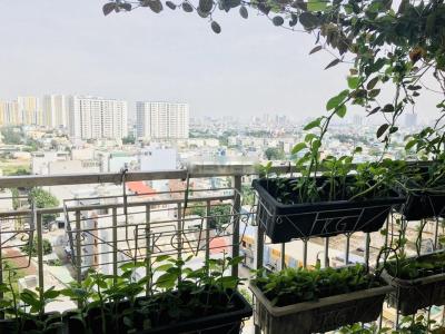 View căn hộ chung cư Trương Đình Hội, Quận 8 Căn hộ chung cư Trương Đình Hội hướng Nam, view thành phố sầm uất.