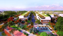 Long Thành Airport Village - Dự án Long Thành Airport Village