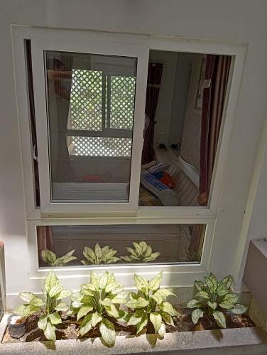 Nhà phố Nhà Bè Bán nhà cách Bệnh viện Nhà Bè hơn 500m, nội thất cơ bản.