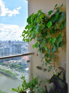 Ban công căn hộ The Gold View Căn hộ The Gold View tầng cao, ban công hướng Tây Nam view thành phố.