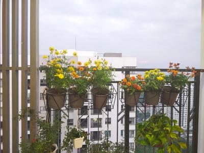 Ban công căn hộ Saigon South Residence, Nhà Bè Căn hộ Saigon South Residence nội thất đầy đủ, thiết kế sang trọng.