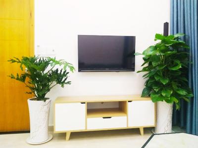 can-ho-THE-CBD-PREMIUM-HOME Bán căn hộ The CBD Premium Home 2PN, tầng cao, diện tích 63m2, đầy đủ nội thất