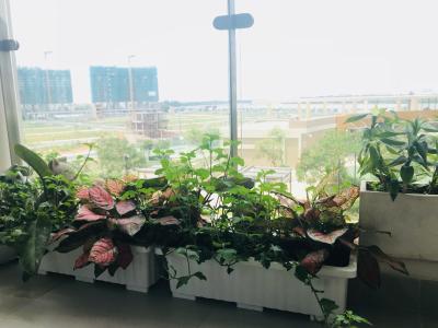 View căn hộ Diamond Island - Đảo Kim Cương Cho thuê căn hộ Diamond Island - Đảo Kim Cương 1PN, đầy đủ nội thất, view nội khu yên tĩnh