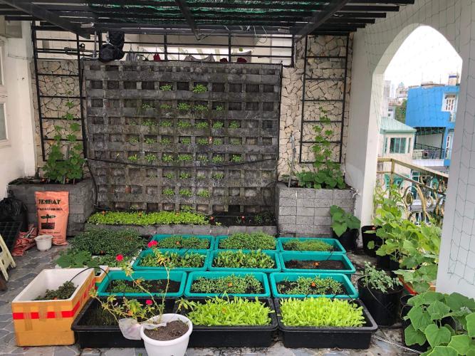 Sân thượng nhà Hoàng Hoa Thám, Bình Thạnh Nhà Hoàng Hoa Thám Bình Thạnh, nội thất gỗ, sân thượng thoáng mát.