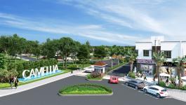 Camellia Garden - camellia-garden-3.jpg