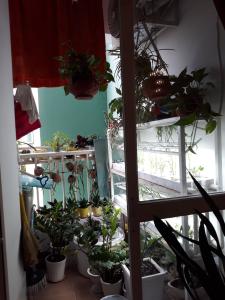 Ban công Conic Garden, Bình Chánh Căn hộ Conic Garden tầng trung, view đón gió.