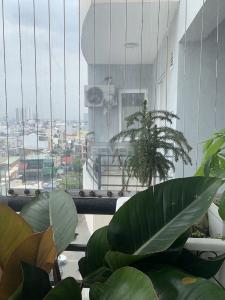 Ban công Phú Thạnh Apartment, Tân Phú Căn hộ Phú Thạnh Apartment tầng trung, ban công hướng Đông.