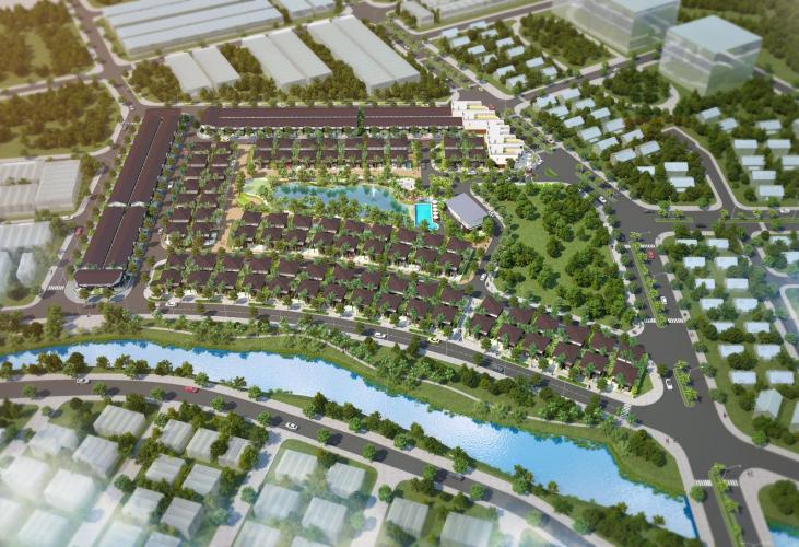 Camellia Garden - camellia-garden-8.jpg