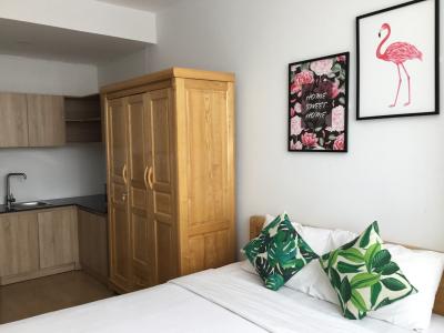 Cho thuê căn hộ 1 phòng ngủ đường Nguyễn Trãi, Quận 1, DT 30m2, có sẵn nội thất