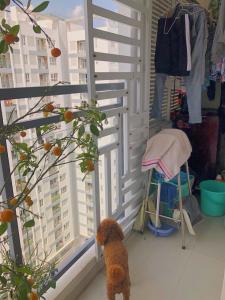  Bán căn hộ Florita diện tích 69m2 gồm 2 phòng ngủ, ban công hướng Đông, tầng trung, đầy đủ nội thất