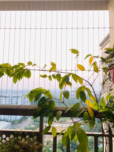 view nhìn ra phía ngoài căn hộ sài gòn mia Căn hộ Saigon Mia, diện tích 70.22m2  nội thất đầy đủ