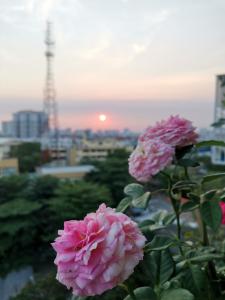 View chung cư Bưu Điện Quận 10 Căn hộ chung cư Bưu điện trung tâm quận 10, ban công cây xanh.