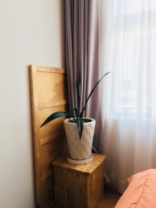 Phòng khách căn hộ Sunrise Riverside Cho thuê căn hộ Sunrise Riverside diện tích 69.16m2