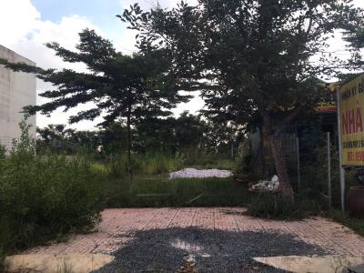 Đất nền Quận 9 Bán đất nền đường Trường Lưu, Quận 9, hướng Đông Bắc, gần chợ Long Trường