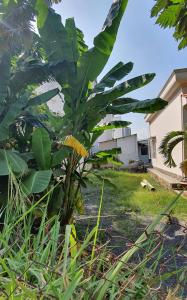 đất nền 6 x 17 hẻm xe hơi đường Nguyễn Thị Định quận 2 Đất nền hướng Đông Bắc hẻm xe hơi 6m, diện tích 103.1m2.