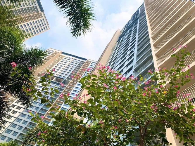 Palm Heights - Khu căn hộ Palm Heights