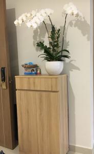 Trang trí căn hộ RICHSTAR Bán căn hộ RichStar Tân Phú 2PN, diện tích 65m2, đầy đủ nội thất, view thành phố