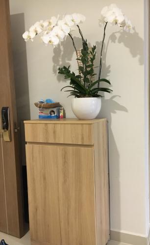 Trang trí căn hộ RICHSTAR Bán căn hộ RichStar Tân Phú 2PN, diện tích 65m2, đầy đủ nội thất, view thành phố