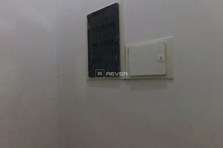 Rever