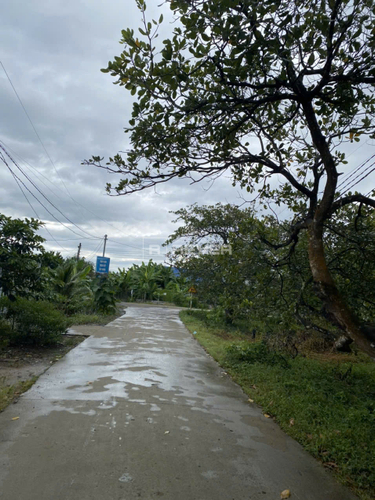 z7446222586945_152164ee668dda494f3351aefe250316.jpg Đất nền đường Liên Xã, diện tích 954m², pháp lý Sổ hồng