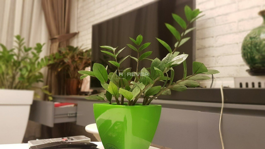 z4670948474526_af6384310cdb881a4f91d07df991e5be.jpg Căn hộ Masteri Thảo Điền hướng Tây Nam, diện tích 68.15m²