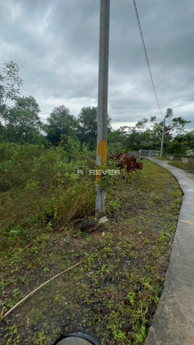 z7446170134166_09bfa22a5ad73399f194c232f1a955a0.jpg Đất nền đường Liên Xã, diện tích 954m², pháp lý Sổ hồng