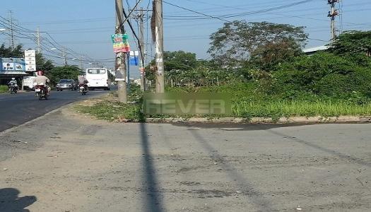 Đường trước đất nền Huyện Bình Chánh Đất nền hướng Đông Nam diện tích 112m2, khu vực đầy đủ tiện ích.