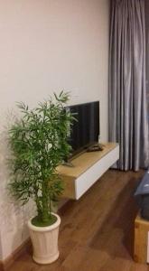 Căn hộ Vinhomes Central Park, Quận Bình Thạnh Căn hộ Vinhomes Central Park cửa hướng Đông, đầy đủ nội thất hiện đại.