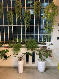 Ban công Phú Lợi 1, Quận 8 Căn hộ chung cư Phú Lợi 1 đầy đủ nội thất, hướng Đông Nam.