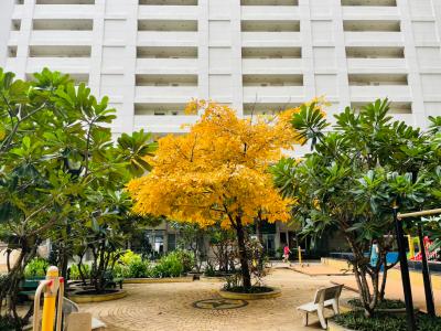 Căn hộ The Eastern, Quận 9 Căn hộ The Eastern tầng 19 ban công thoáng mát, đầy đủ nội thất.