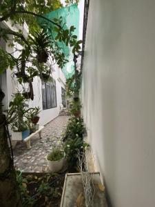 Biệt thự Quận 2 Biệt thự diện tích 165m2 được thiết kế sang trọng, bàn giao nội thất cơ bản.