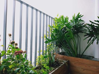 Ban công M-One Nam Sài Gòn, Quận 7 Căn hộ M-One Nam Sài Gòn đầy đủ nội thất, hướng Đông Nam.