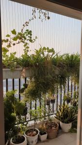 View căn hộ 9 View Apartment, Quận 9 Căn hộ 9 View Apartment cửa hướng Tây Băc, đầy đủ nội thất.