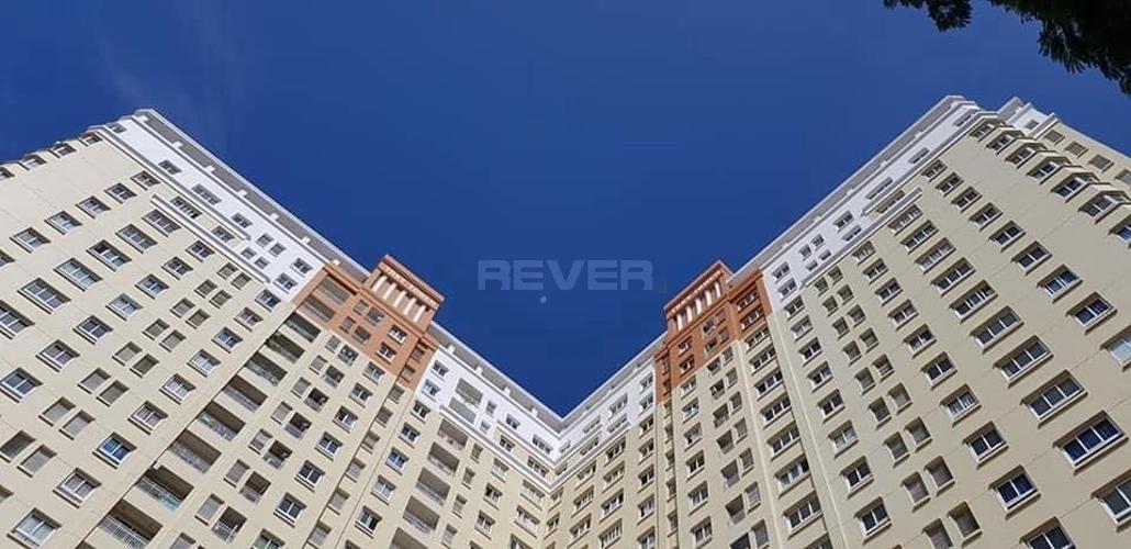Rever