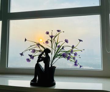 view nhìn ra phía ngoài căn hộ sài gòn mia Bán căn hộ Saigon Mia, 2 phòng ngủ diện tích 70.22m2