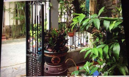 Sân nhà phố đường số 2, Quận 2 Văn phòng có sân vườn mát mẻ, diện tích 75m2, hướng Tây Bắc.