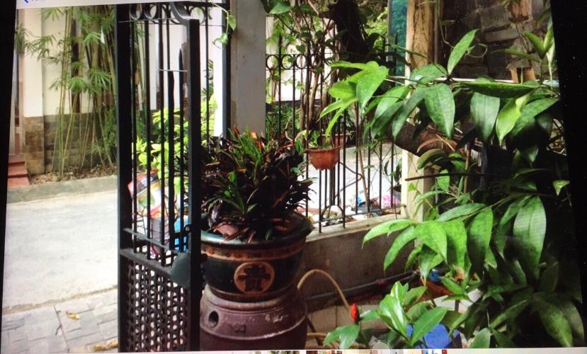 Sân nhà phố đường số 2, Quận 2 Văn phòng có sân vườn mát mẻ, diện tích 75m2, hướng Tây Bắc.