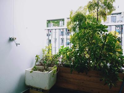 Ban công M-One Nam Sài Gòn, Quận 7 Căn hộ M-One Nam Sài Gòn đầy đủ nội thất, hướng Đông Nam.