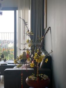 Phòng khách Hausneo, Quận 9 Căn hộ Hausneo hướng Đông Bắc, đầy đủ nội thất.