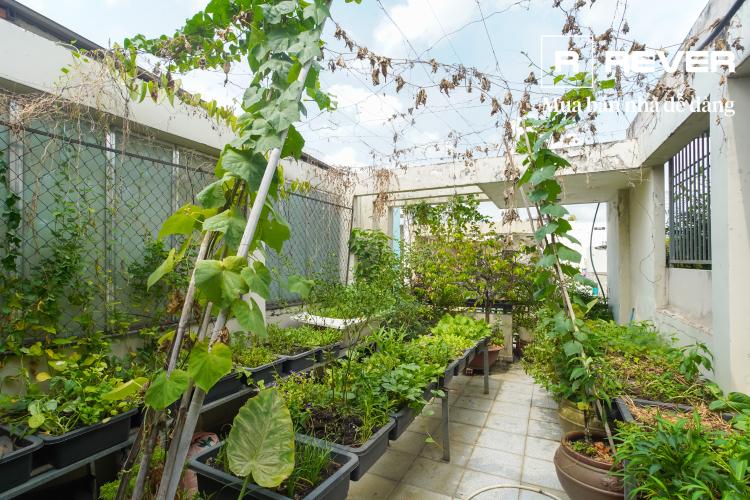 Sân thượng nhà phố Tân Bình Bán nhà 3 tầng Nguyễn Sỹ Sách, Tân Bình, đầy đủ nội thất, cách chợ Tân Trụ 250m