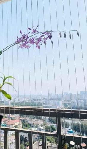 Ban công căn hộ Saigon Mia Căn hộ Saigon Mia bàn giao đầy đủ nội thất, view thành phố.